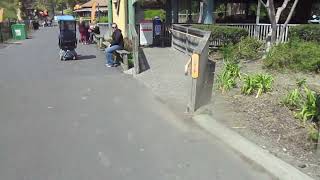Monkey Business at Six Flags Discovery Kingdom