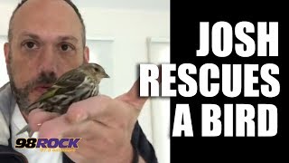 Spiegel Rescues a Bird