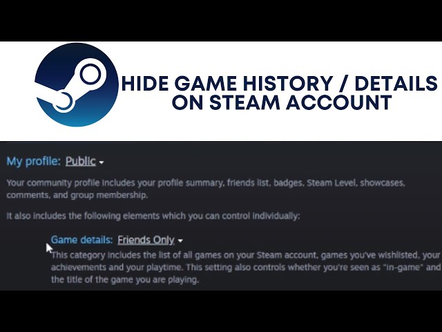 Is there any way to hide your Steam status from others? - Arqade