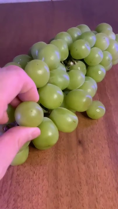 #обзор на шайн мускат 🍇 - YouTube