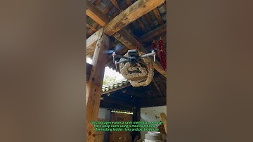 Drone vs Wasp Nest: Cut & Capture in 3 Mins Flat!