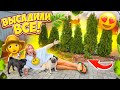 ВЫСАДИЛИ ВСЕ👉 НА УЧАСТКЕ🍀ШОППИНГ🌸👉 ОБУСТРОИЛИ ПОЛИСАДНИК за 24 Часа!