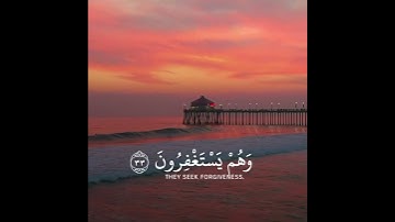 قرآن كريم | استغفر الله العظيم واتوب اليه