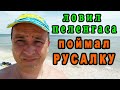 Ловил пеленгаса - поймал русалку I Рыбалка в Бердянске I  We catch pelengas