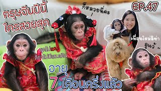 ตรุษจีนนี้ ลิซ่าอายุ 7 เดือนครึ่งแล้ว ผูกมิตรกับเพื่อนใหม่ ลิงกับหมา !! EP.47