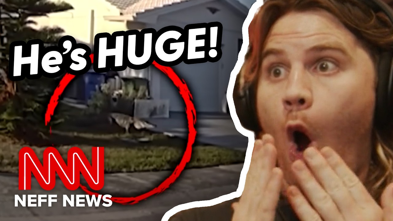 ЖЕНЩИНА ИЗ ФЛОРИДЫ ПРОТИВ ГЕЙТОРА | Neff News