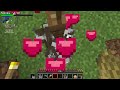 Minecraft Relaxing Longplay Gameplay No Commentary 1 Hour