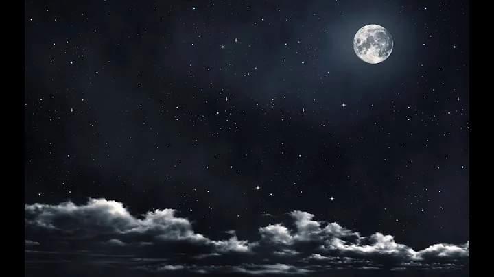 Ann Stevens - "Nocturne"
