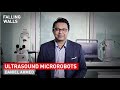 How bioinspired ultrasound microrobots revolutionize medicine  daniel ahmed