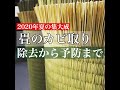 畳カビ取り　正しい除去方、予防法この動画一本で大丈夫！ 2020年夏の集大成のカビ取り動画です