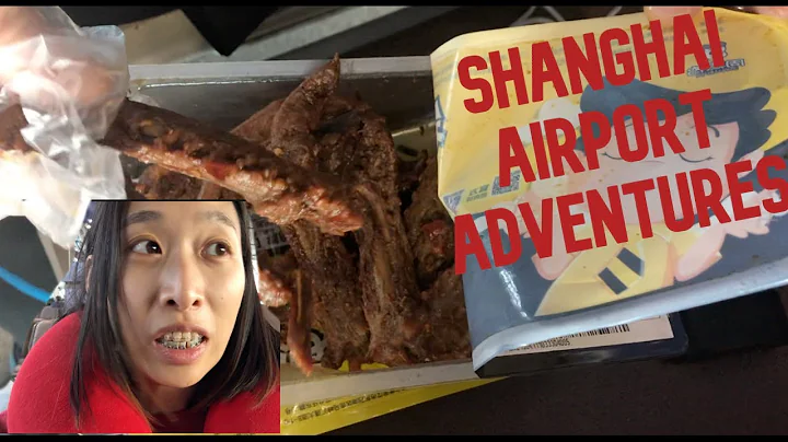 DUCK NECK at Shanghai Airport Layover - DayDayNews