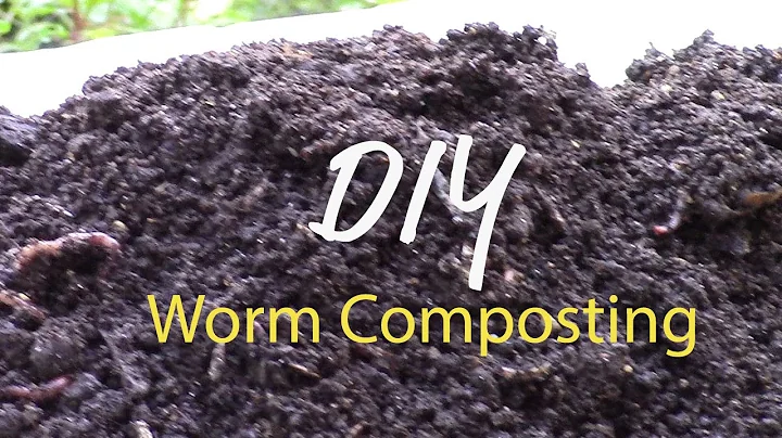DIY Worm Composting Bin to Rehab Your Garden