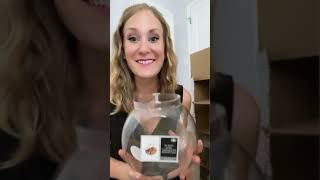Dollar Tree picked over?  Watch this!