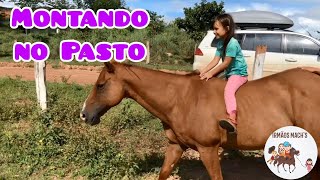 Montando O Doc Boy Sem Sela E Sem Redea - Irmãos Machs