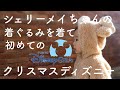 【赤ちゃん 1歳1ヶ月】シェリーメイの着ぐるみを着て東京ディズニーシーに行ったよ【成長記録】