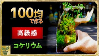 【誰でもできる！】かっこいいコケリウムを100均で作る方法