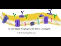 Structural Lipids I: Glycerphospholipid and Ether linked lipid