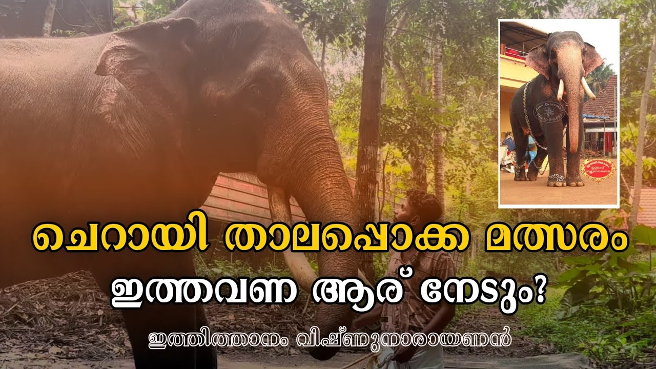 നീരിലാണോ അതോ മണ്ണ് വാരിയിട്ട് നിൽക്കുവാണോ? കാഴ്ചക്കാരെ ആശയക്കുഴപ്പത്തിലാക്കി ടുട്ടു മോൻ 😈