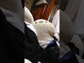 そのだの悩み父ちゃん母ちゃんいるから