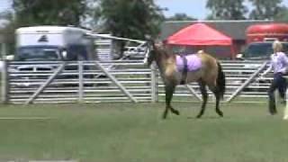 ground driving obstacle