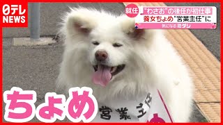 ”わさお”の後任 