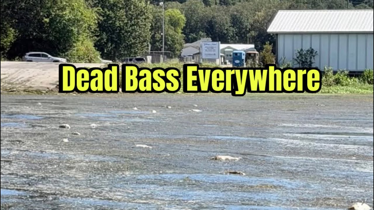 What Happened On Lake Guntersville Last Week Is Going To Disgust You…