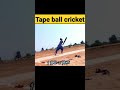 1 ball 2 runs  shorts tapeball cricket shorts.