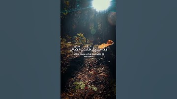 وَمَا تَسْقُطُ مِن وَرَقَةٍ إِلَّا يَعْلَمُهَا #quran #quran #تلاوات #المنشاوي #تلاوات_خاشعة
