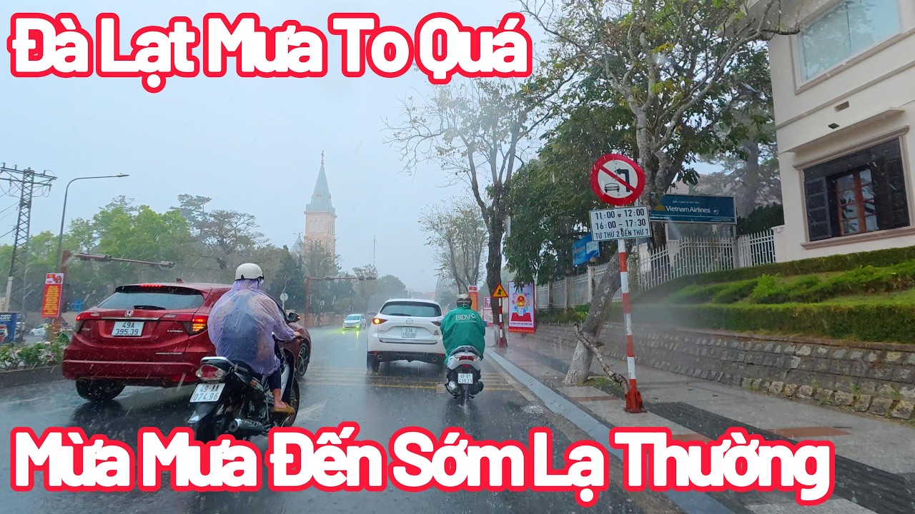 Đà Lạt Chiều Nay Mưa To Quá, Mùa Mưa Đến Sớm Lạ Thường