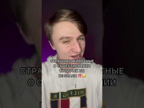СТРАШНЫЕ ЖИВОТНЫЕ О СУЩЕСТВОВАНИИ КОТОРЫХ ВЫ НЕ ЗНАЛИ!!!