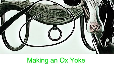Basic steps to making an ox yoke