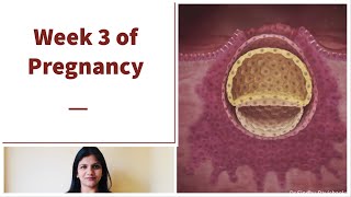 Week 3 of Pregnancy - Pregnancy weekly tips in Kannada