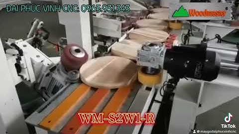 MÁY CHÀ NHÁM CẠNH ĐĨA TRÒN 3 TRỤC TỰ ĐỘNG / WM-S2W1-R / WOODMASTER