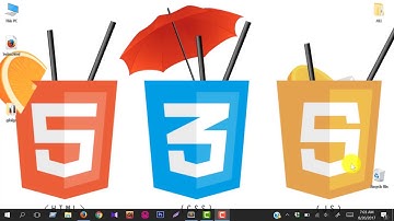 customize radio button with css (  Bangla Language )
