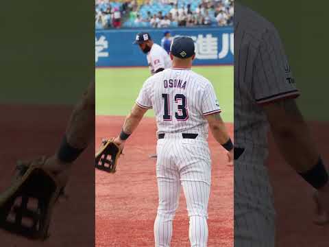 オスミンゴのキャッチボール #swallows #オスナ #サンタナ