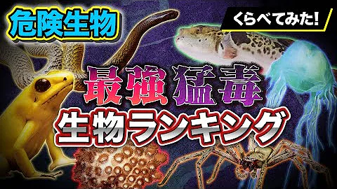 危険生物 実証 危険生物 実証