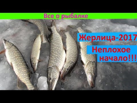 ловля на жерлицы 2017 год ловля на жерлицы 2017 год
