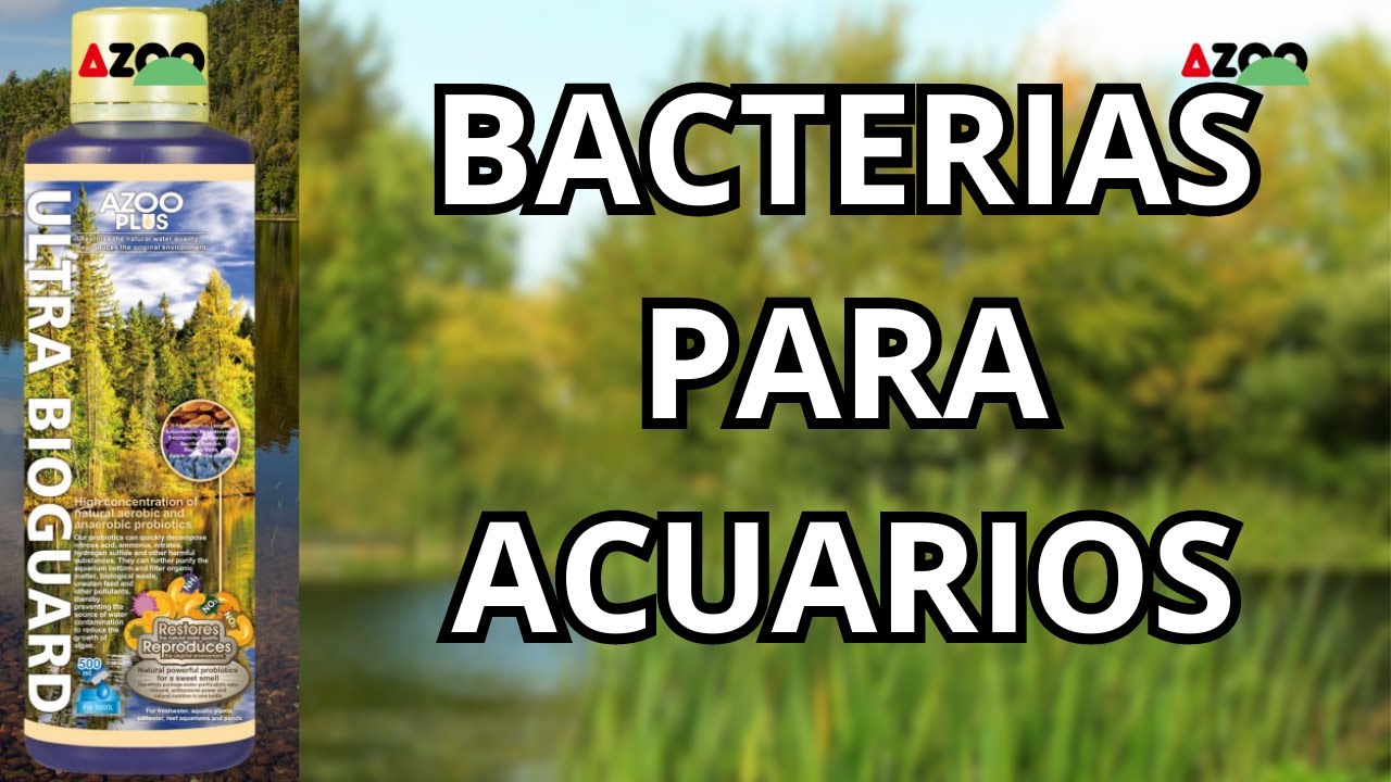 Supreme Bioguard, bacterias Nº1 para acuarios