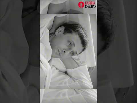 История песни «Где он, этот день» из фильма «Вариант „Омега“» 1975 г. #олегдаль #гдеонэтотдень