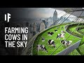 What If We Built Vertical Farms?