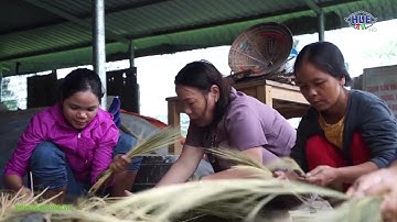 Dân tộc và miền núi - (12/11/2025)