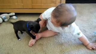 cutest baby and dog