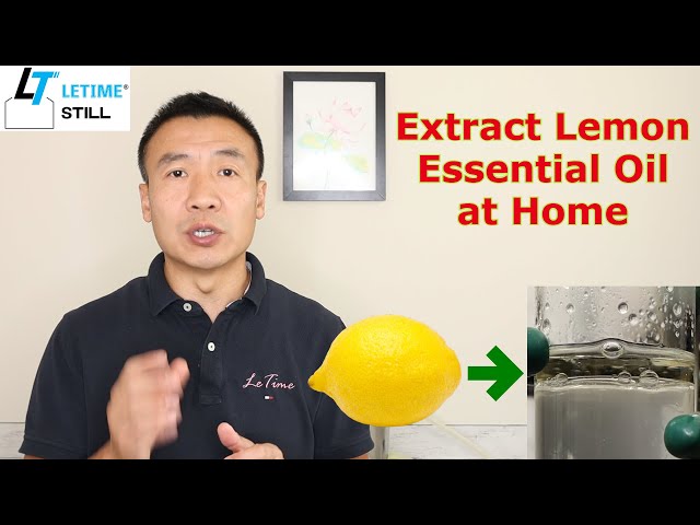 How to make Lemon Essential Oil at Home, Essential Oil Distillation Benefits Composition and Tips class=