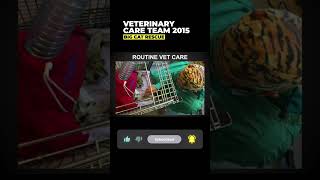 Vet Care Presentation By Dr. Boorstein~Part 2 Of 59