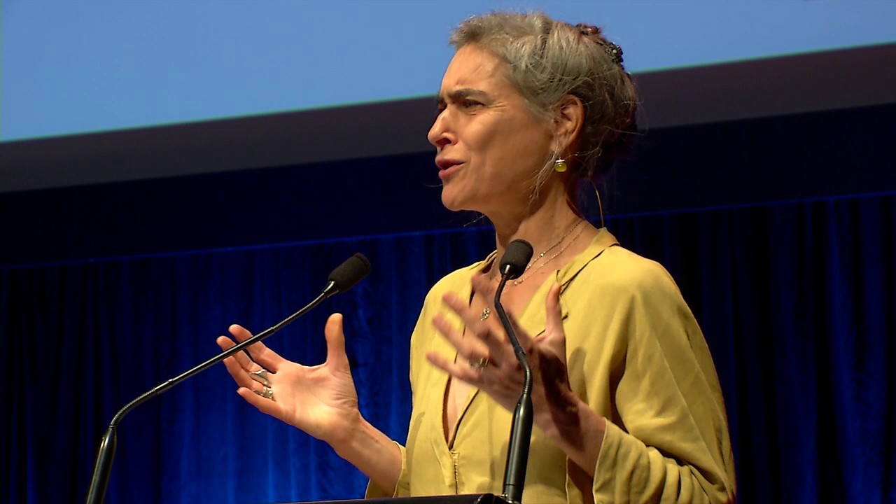 Sarah Chayes | Thieves of State