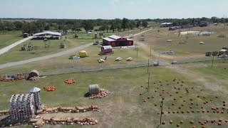 How a new data center project in Temple is affecting a popular family farm