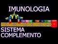 Aula: Imunologia - Sistema Complemento | Imunologia #8