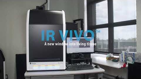 IR VIVO | NIR-II Preclinical Imaging