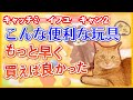 元気に遊んでくれて家仕事が捗る猫用電動おもちゃ キャッチ・ミー・イフ・ユー・キャン2 は人気No.1です