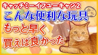 元気に遊んでくれて家仕事が捗る猫用電動おもちゃ キャッチ・ミー・イフ・ユー・キャン2 は人気No.1です